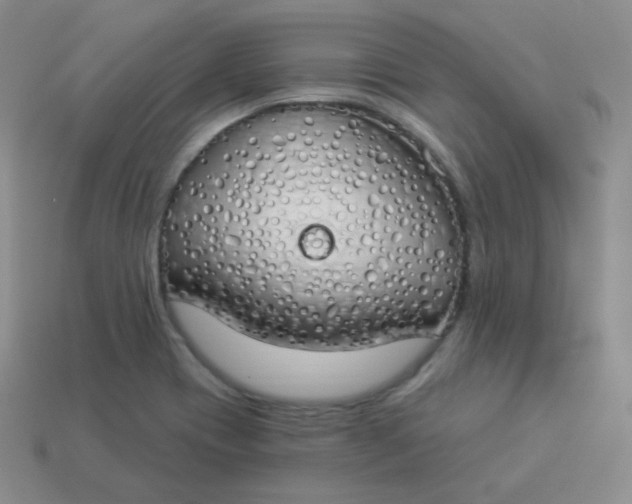 X0000114001417200910161659