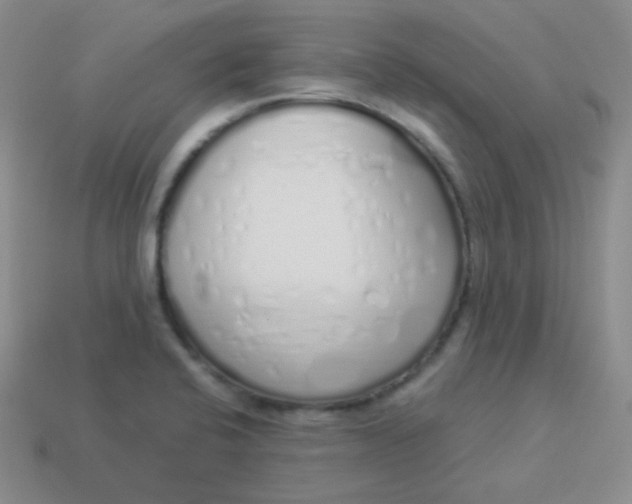 X0000114001424200910161659