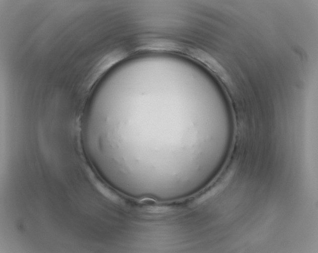 X0000114001425200910161659