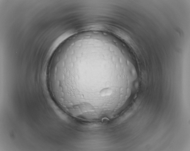 X0000114001426200910161659