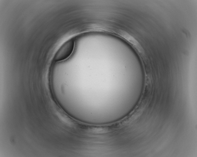 X0000114001427200910161659