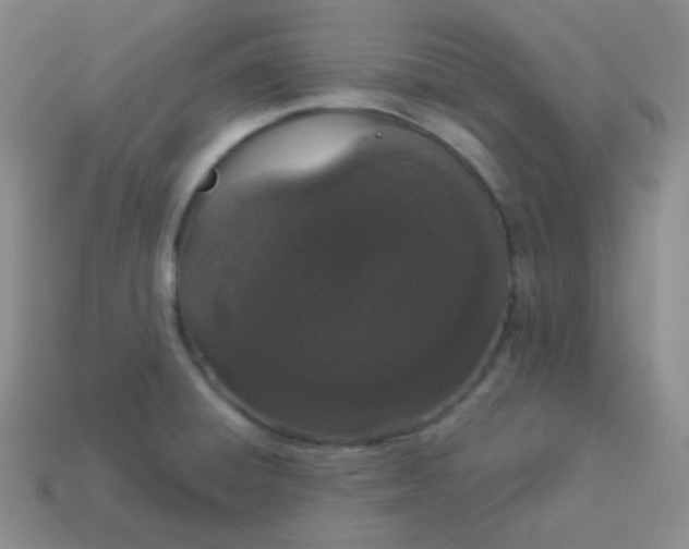 X0000114001428200910161659