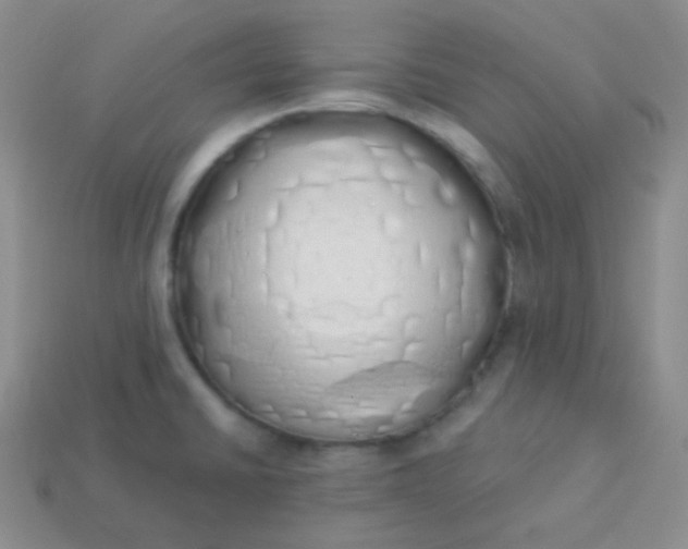 X0000114001430200910161659