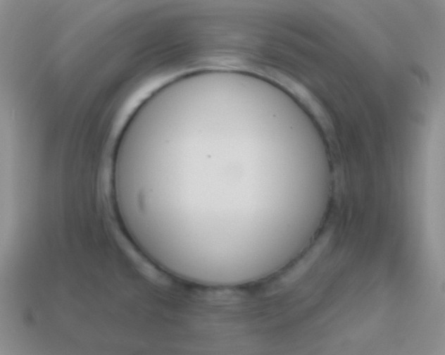 X0000114001432200910161659