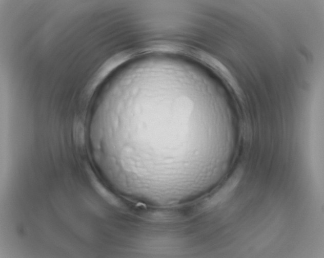 X0000114001433200910161659