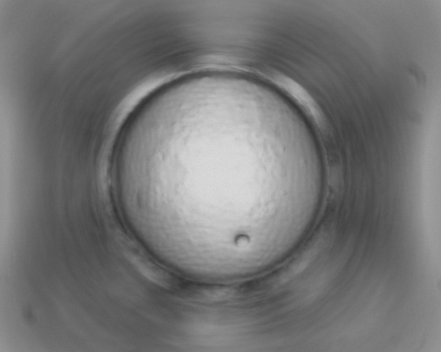 X0000114001435200910161659
