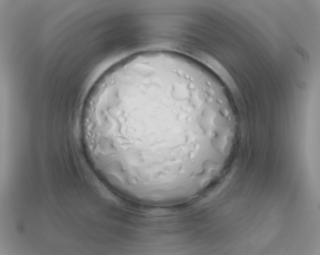 X0000114001436200910161659
