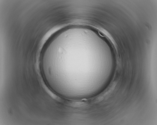 X0000114001437200910161659