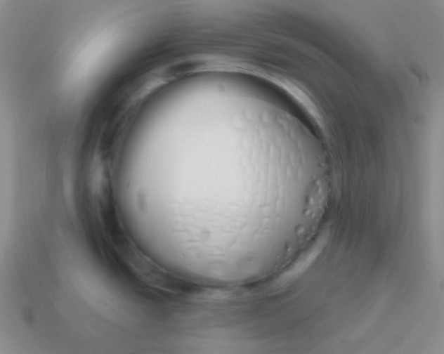 X0000114001438200910161659
