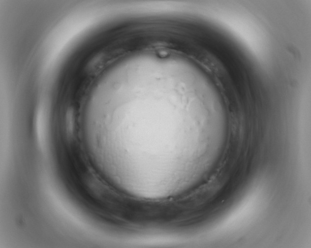 X0000114001439200910161659