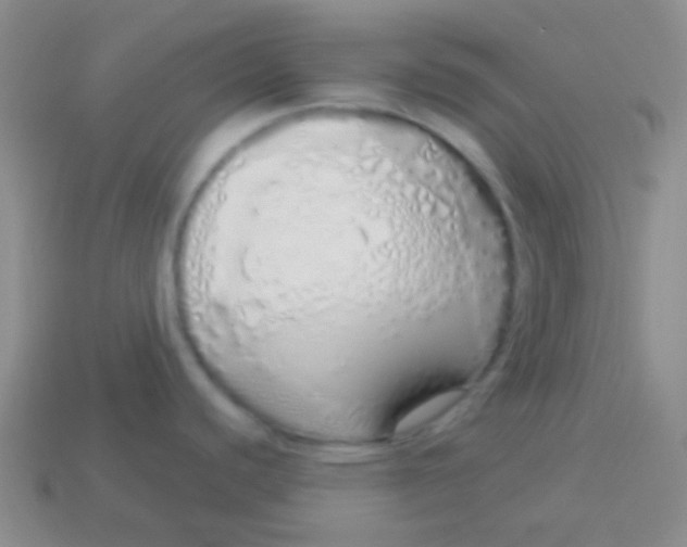 X0000114001440200910161659