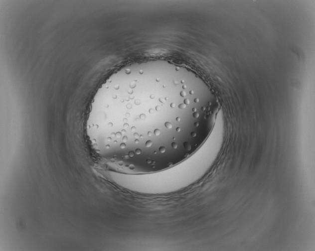 X0000114001441200910161659