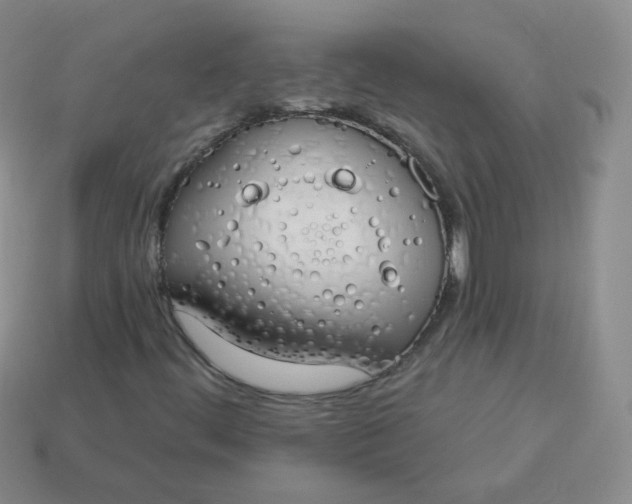 X0000114001444200910161658