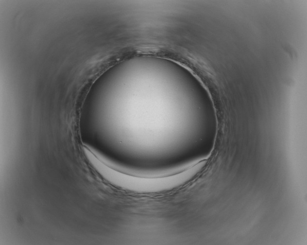 X0000114001445200910161658