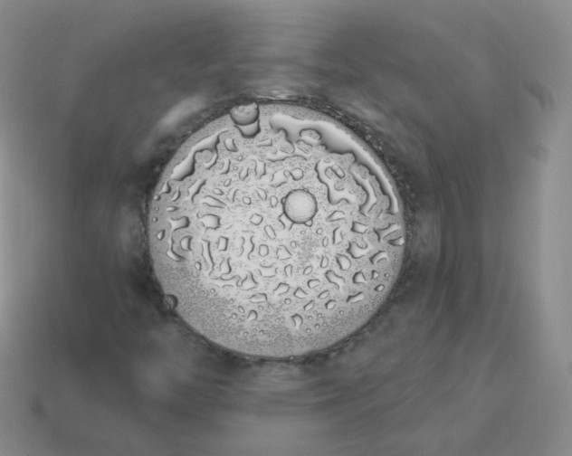 X0000114001446200910161658