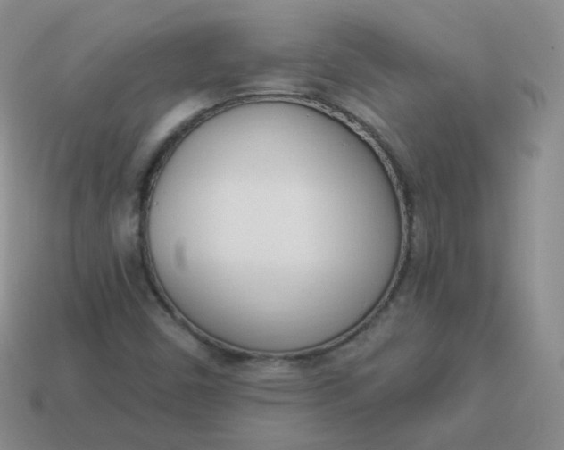X0000114001450200910161658