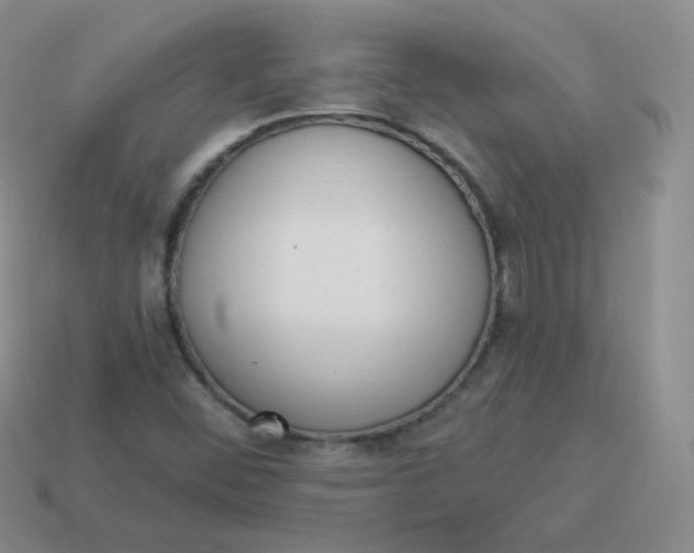 X0000114001452200910161658