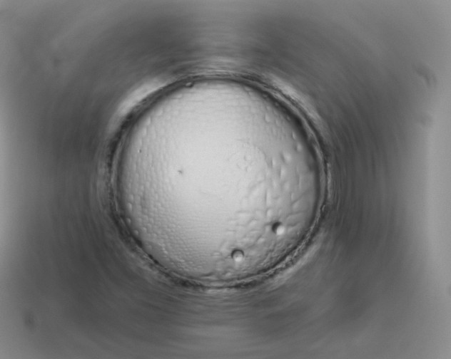 X0000114001453200910161658