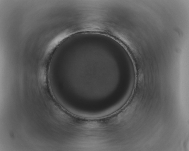 X0000114001455200910161658
