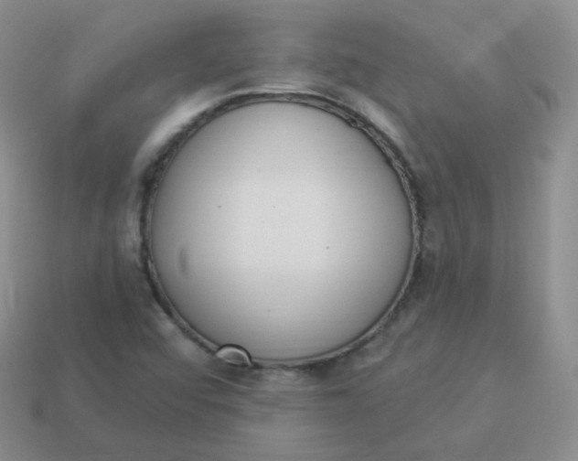 X0000114001456200910161658