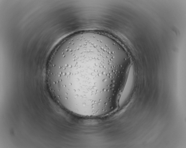 X0000114001457200910161658
