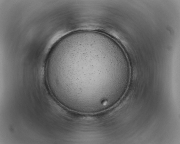 X0000114001459200910161658
