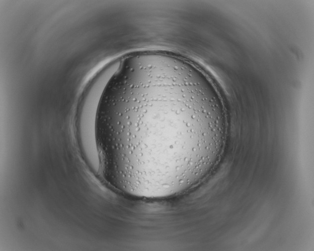 X0000114001460200910161658
