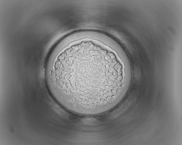 X0000114001462200910161658