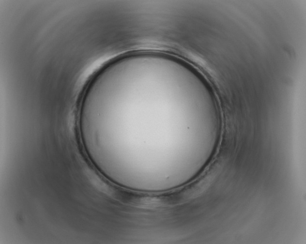 X0000114001463200910161658
