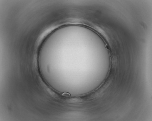 X0000114001464200910161658