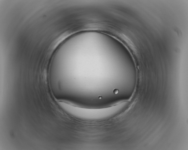 X0000114001465200910161658