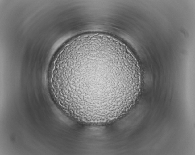 X0000114001466200910161658