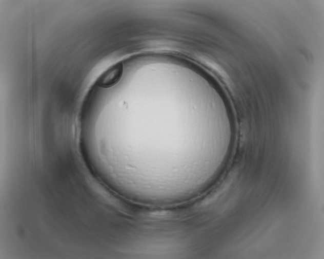 X0000114001467200910161658