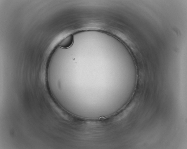 X0000114001469200910161658