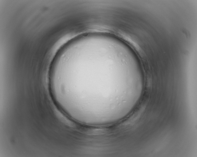 X0000114001471200910161658