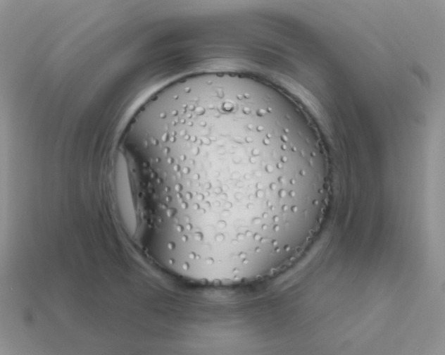X0000114001473200910161658
