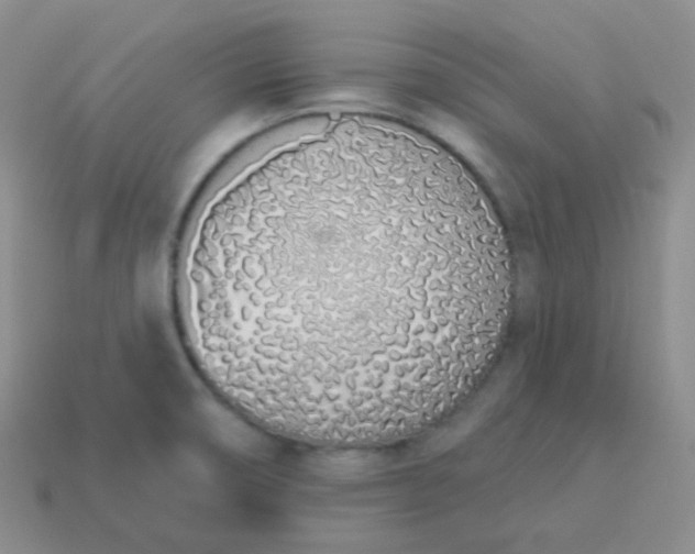 X0000114001474200910161658