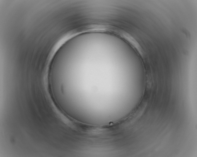 X0000114001475200910161658