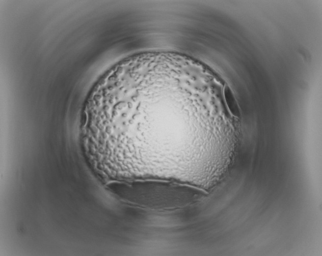 X0000114001477200910161658