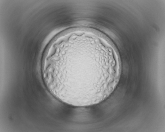 X0000114001478200910161658