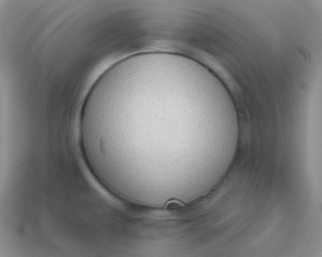 X0000114001479200910161658