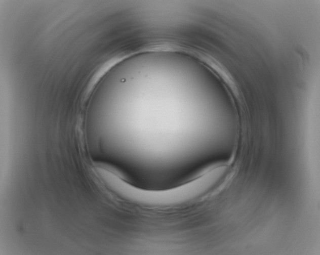 X0000114001481200910161658
