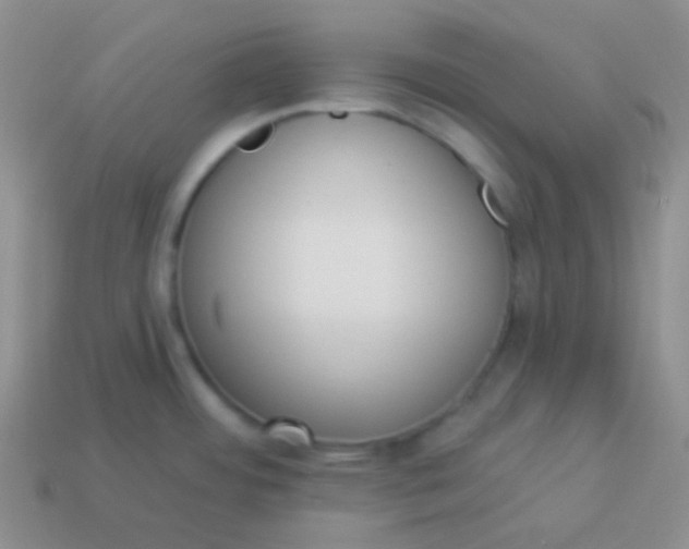 X0000114001484200910161658