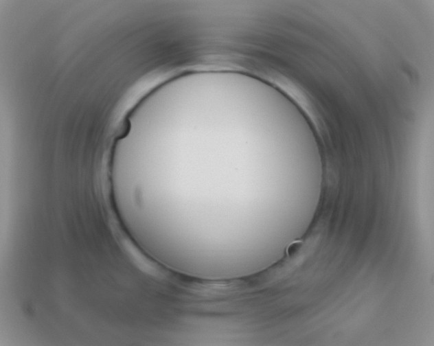 X0000114001485200910161658
