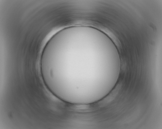 X0000114001486200910161658