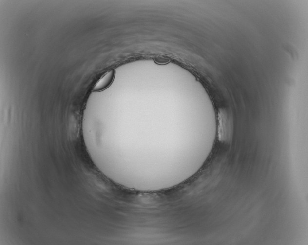 X0000114001491200910161657