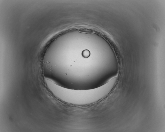 X0000114001496200910161657