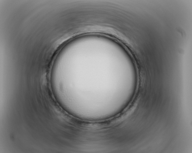 X0000114001497200910161657