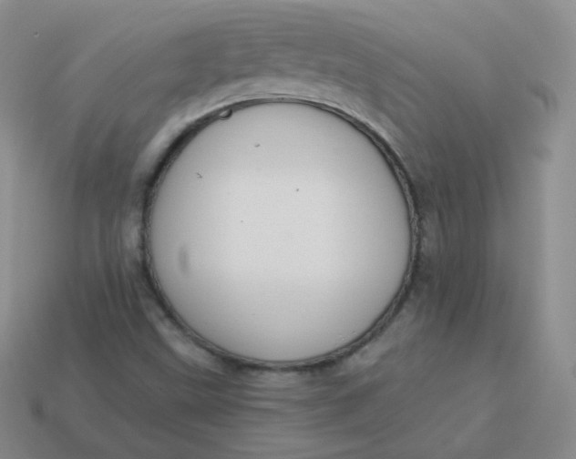 X0000114001499200910161657