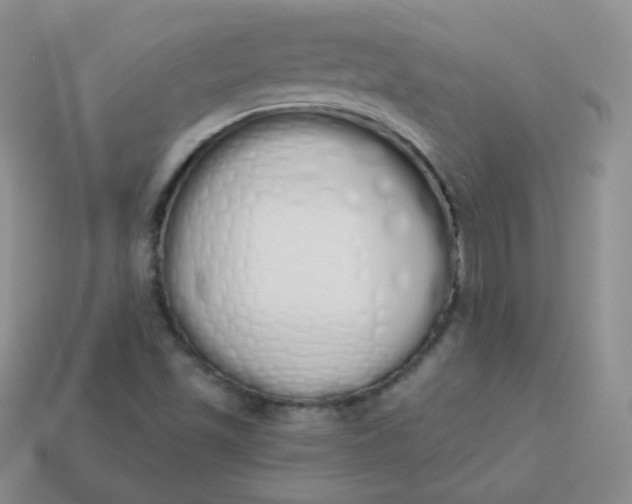 X0000114001501200910161657